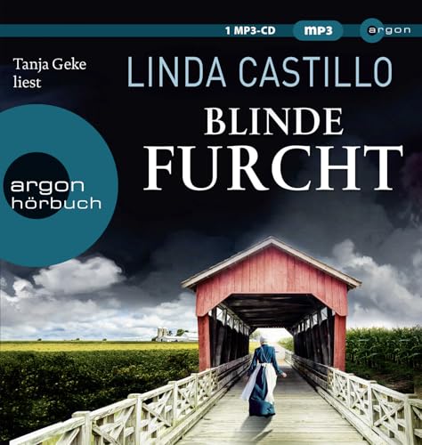 Blinde Furcht: Thriller: 13