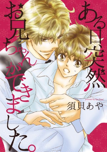 ある日、突然お兄ちゃんができました。 (Bs-LOVEY COMICS)