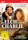Pidax Film- und Hörspielverlag