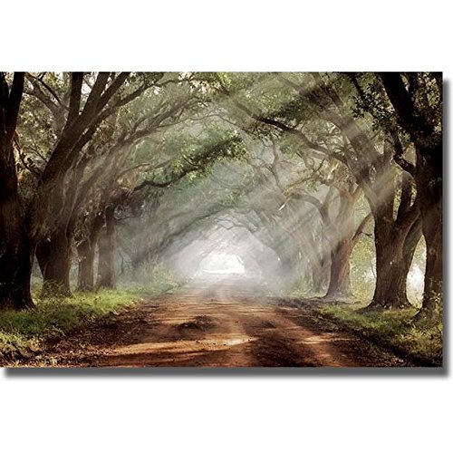 Amazon.com: Artistic Home Gallery 2436526S Evergreen Plantation By