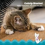 Catstages Scratch & Groom Cat Scratcher with Removable Curved Brush for Self-Grooming Station, Orange - Image 3