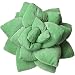 Succulent Cactus Décor Pillow for Green or Garden Lovers Green Nursery Living Room Accent 3D Shape to Create Your Life Size Lush Home Terrarium - SAGE Green