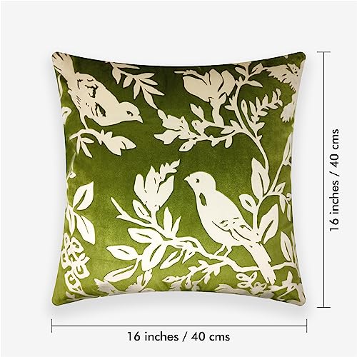 Image of Birds Designer Printed Velvet Cushion Cover | Decorative Cushion Cover | Modern & Trendy | for Sofa Chair Bedroom | Set of 1 (16 x 16 Inch, Green & Cream)