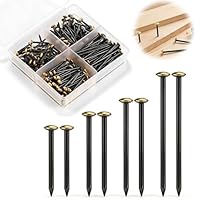 jwtyu 160 Stück Stahlnägel Set 20/25/30/40mm nägel Gold Bildernägel betonnägel mit Box stahlnägel für bilder Ziegelstein Putz und Holz