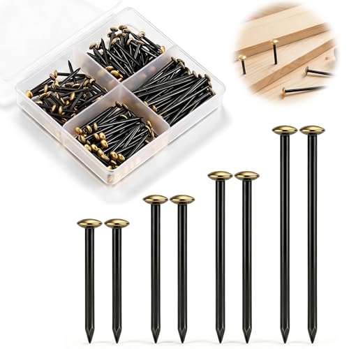 jwtyu 160 Stück Stahlnägel Set 20/25/30/40mm nägel Gold Bildernägel betonnägel mit Box stahlnägel für bilder Ziegelstein Putz und Holz