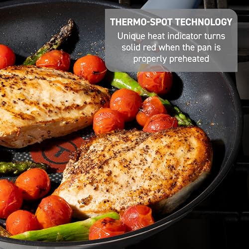 Image of T-fal Essentials Stainless Steel Saute Pan w /Non Stick Coating & Glass Lid, 3.5 Quart, All Cooktops Including Induction, Oven Safe 350F, Heat Indicator, Measuring Marks, Dishwasher Safe, Silver /Blue