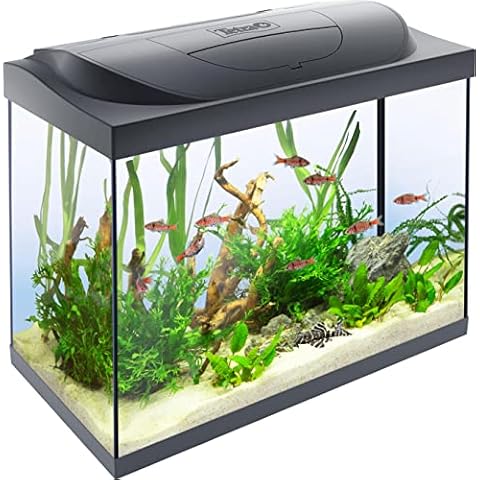 Acuario de inicio grande Tetra Starter Line LED 80L Cover