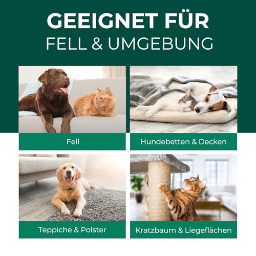Silberkraft Milbenspray Hund & Katze 250 ml, Effektiver Schutz vor Milben, Flöhen & Parasiten , Anti-Milben-Mittel für Fell, Schlafplätze & Umgebung , Vertreibt Grabmilben, Herbstgrasmilben und mehr