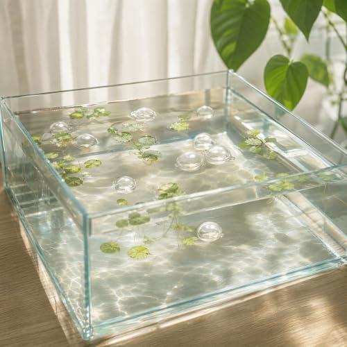 Abaodam 20 Pcs Clear Floating Balls for Aquarium Decor, Fillable PVC image 5