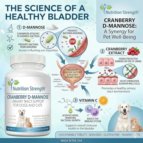 Image of Cranberry D-Mannose for Dogs | Human-Grade UTI Defense