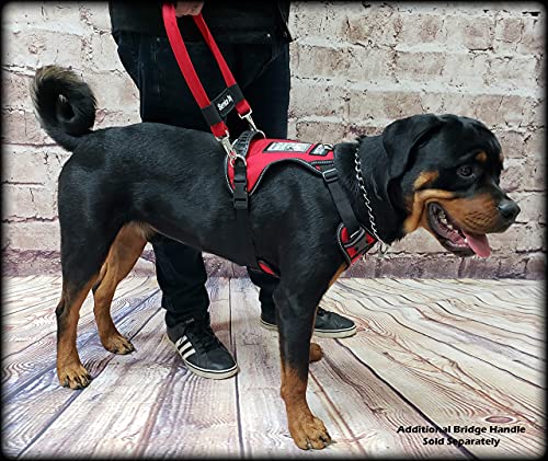 Activedogs Adjustable No-Pull Service Dog Harness, Small Girth 19"-25" W/Front D-Ring, Clear Id Pocket Window, Molded Handle - Red #TOP5