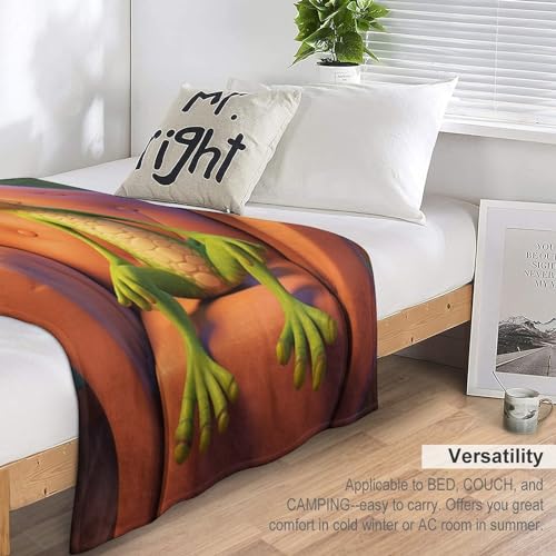 Couvertures en Flannel Douce Gecko Mignon Plaid Moelleux et Chaud de Canapé - 6