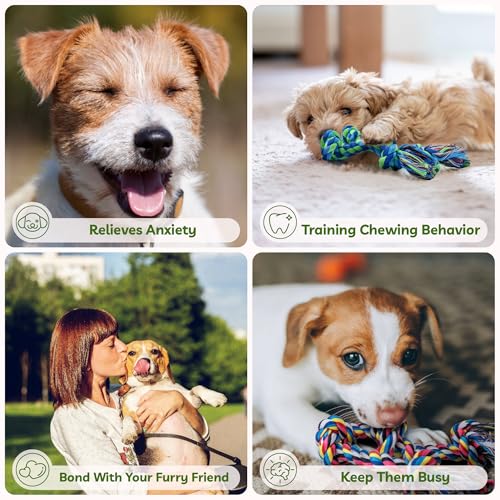 Image of 2 Pack Dog Rope Toy for Small Dogs, Durable Cotton Puppy Teething Toys | Puppy Chew Toys for Teething, Small Dog Toys for Aggressive Chewers, Interactive Tug of War Dog Toy for Puppies Boredom