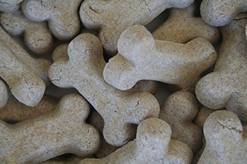 Best Low Protein Dog Foods