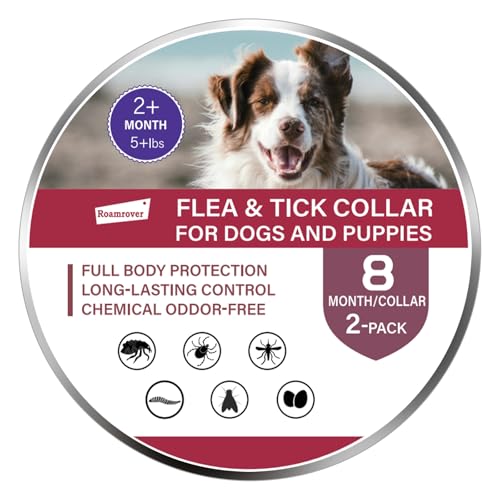 2 er-Pack Zeckenhalsband für Hunde – Natürliches Ätherisches Öl, Wasserdicht & Verstellbar für Welpen und Hunde ab 16 Wochen, 8 Monate Schutz – Sicher mit Pflanzlichen Inhaltsstoffen