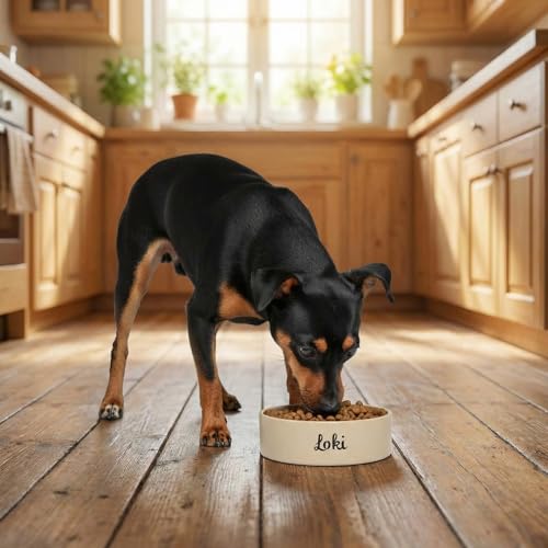 Personalisierter Keramik-Hundenapf ANCA 200 ml (S) Beige/Grün – rutschfest, leicht & hygienisch – Futter- & Wassernapf – für kleine Hunde & Katzen – personalisiert mit Namen – Petslino