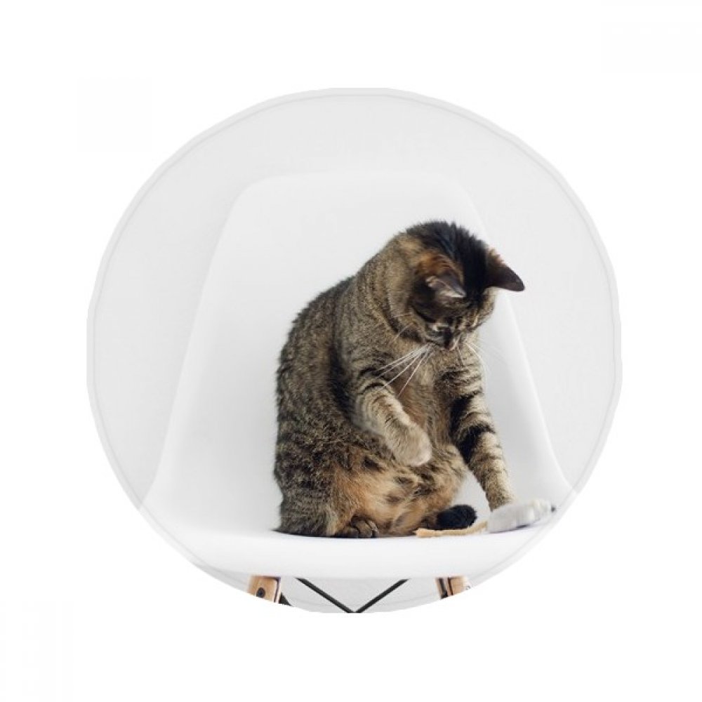 Tapis de chat anti-slip rond évite les glissades cuisine et salle de bain 50cm
