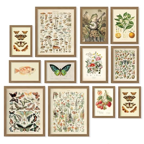97 Decor Cottagecore Wall Art Set, 12 Pcs Vintage Botanical Prints