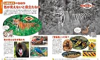 Picture Book of Secrets (picture book i New wide Gakken (Ai)) ISBN: 4052034821 (2011) [Japanese Import] 4052034821 Book Cover