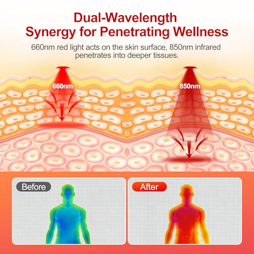 Fully Body Red Light Therapy Bag 74.6