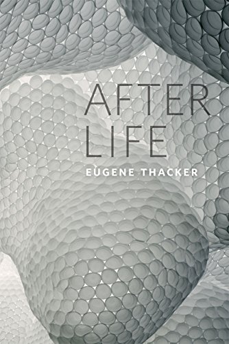 After Life view 2