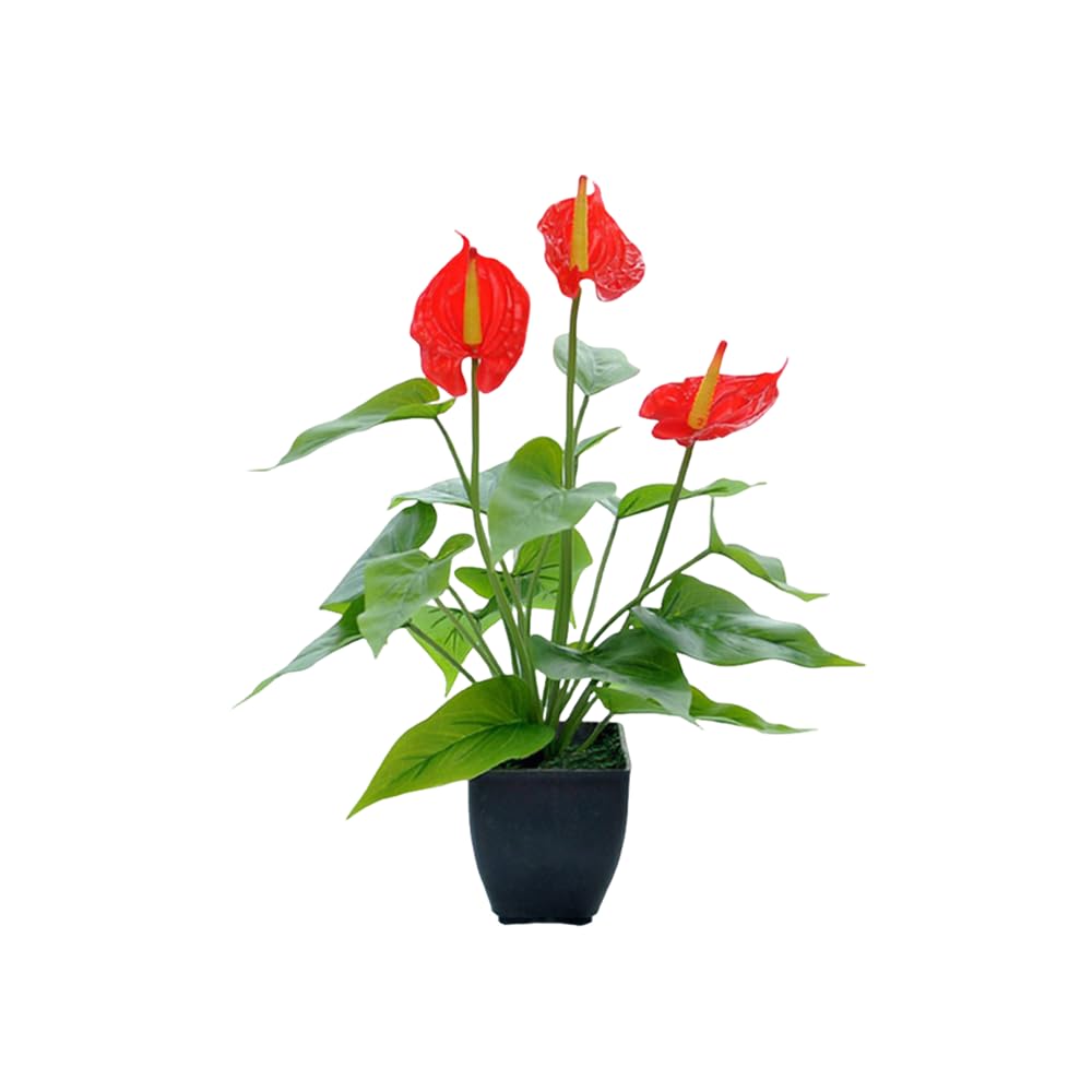 Photo 1 of **DIFERENT PLANT**DODXIAOBEUL 16.1'' Artificial Potted Flowers Anthurium Artificial Plant Bonsai Fake Tropical Greenery Plant,for Indoor Outside Home Garden Office Deck Porch Wedding Decorations,Red