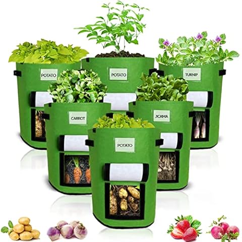 DualVertex Potato Grow Bags For Vegetables 10 Gallons (Pack Of 6) | Plant Grow Bags With Handles & See Through Flap | Potato Bags For Growing Fruits & Vegetables Cover