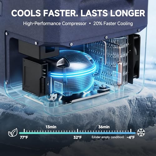 Portable Electric Cooler for Camping