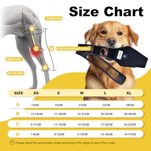 Image of Dog Acl Brace Hind Leg - Red Light Therapy for Dogs Professional Edition Dog Knee Brace for Torn Acl Hind Leg Accelerated Wound Healing Suitable for Mini Dogs (37-72Lb)(Black)(L)