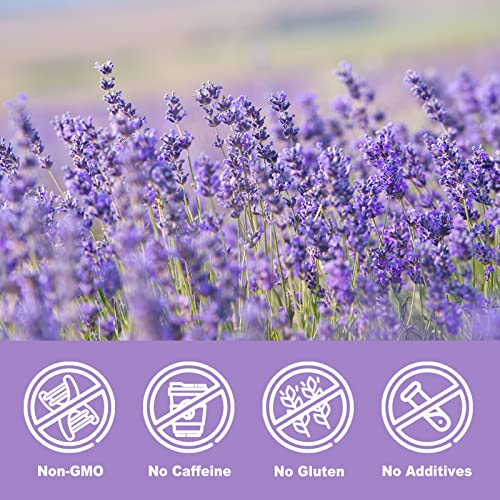 Image of Olvvla - Dried Lavender Flowers, 5oz /142g, Food-Grade Lavender Buds | Fragrant food-grade lavender buds for tea, baking and lemonade, ideal for relaxing routines