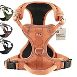 FREUDENTIER Hundegeschirr mit Mesh-Polsterung - Höchster Komfort, bombenfester Sitz & maximale Sicherheit - Anti-Zug-Frontring - Brustgeschirr für große, mittelgroße und kleine Hunde (Orange, S)