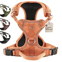 FREUDENTIER Hundegeschirr mit Mesh-Polsterung - Höchster Komfort, bombenfester Sitz & maximale Sicherheit - Anti-Zug-Frontring - Brustgeschirr für große, mittelgroße und kleine Hunde (Orange, S)