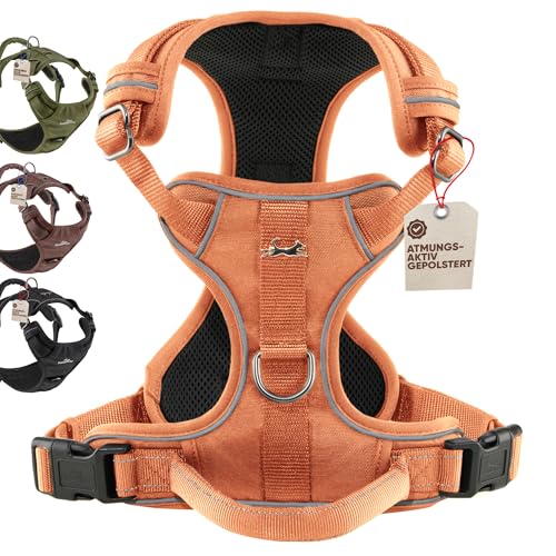 FREUDENTIER Hundegeschirr mit Mesh-Polsterung - Höchster Komfort, bombenfester Sitz & maximale Sicherheit - Anti-Zug-Frontring - Brustgeschirr für große, mittelgroße und kleine Hunde (Orange, M)