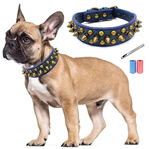 TVMALL Leder Hundehalsband Bissfest mit Pilze Nieten Verstellbar Trainingshalsband für Kleine, Mittelgroße Hunde, Haustiere Outdoor-Halsbänder - Kostenlose Lederlocher und Müllbeutel (Blau, L) Cover