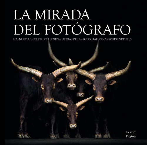 La mirada del fotógrafo (Photoclub) La mirada del fotógrafo (Photoclub)