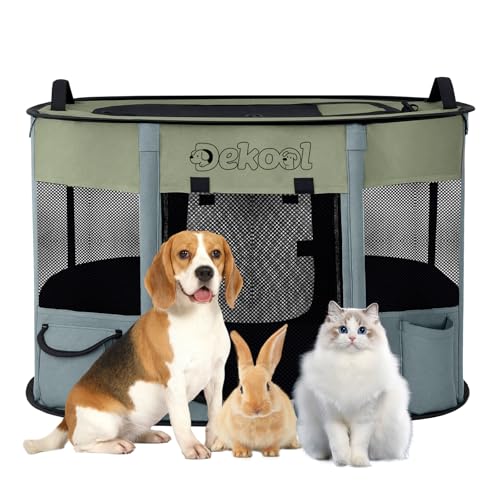 ܂肽ݎLxr[T[NAqp̃|[^upN[gALAqvCyApAegN[gAAOAsALvpAL[P[Xt (O[AS)