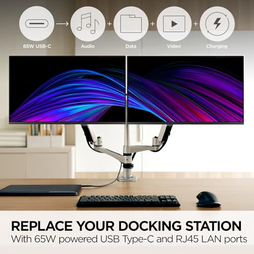 Image of ViewSonic VP2468A H2 24 Inch 1080p Dual Pack Head-Only ColorPro Monitors, 100% sRGB and Pantone Validated for Dual Screen Graphic Design, Advanced Ergonomics, 65W USB-C, and DisplayPort Daisy Chain