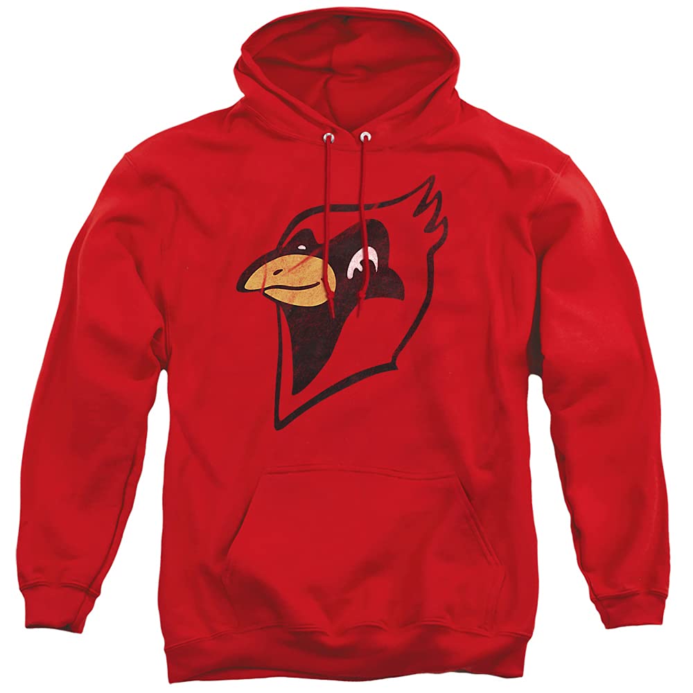 LOGOVISION Official Collegiate Distressed Primary Logo Adult Pullover Hoodie Collection — view 395