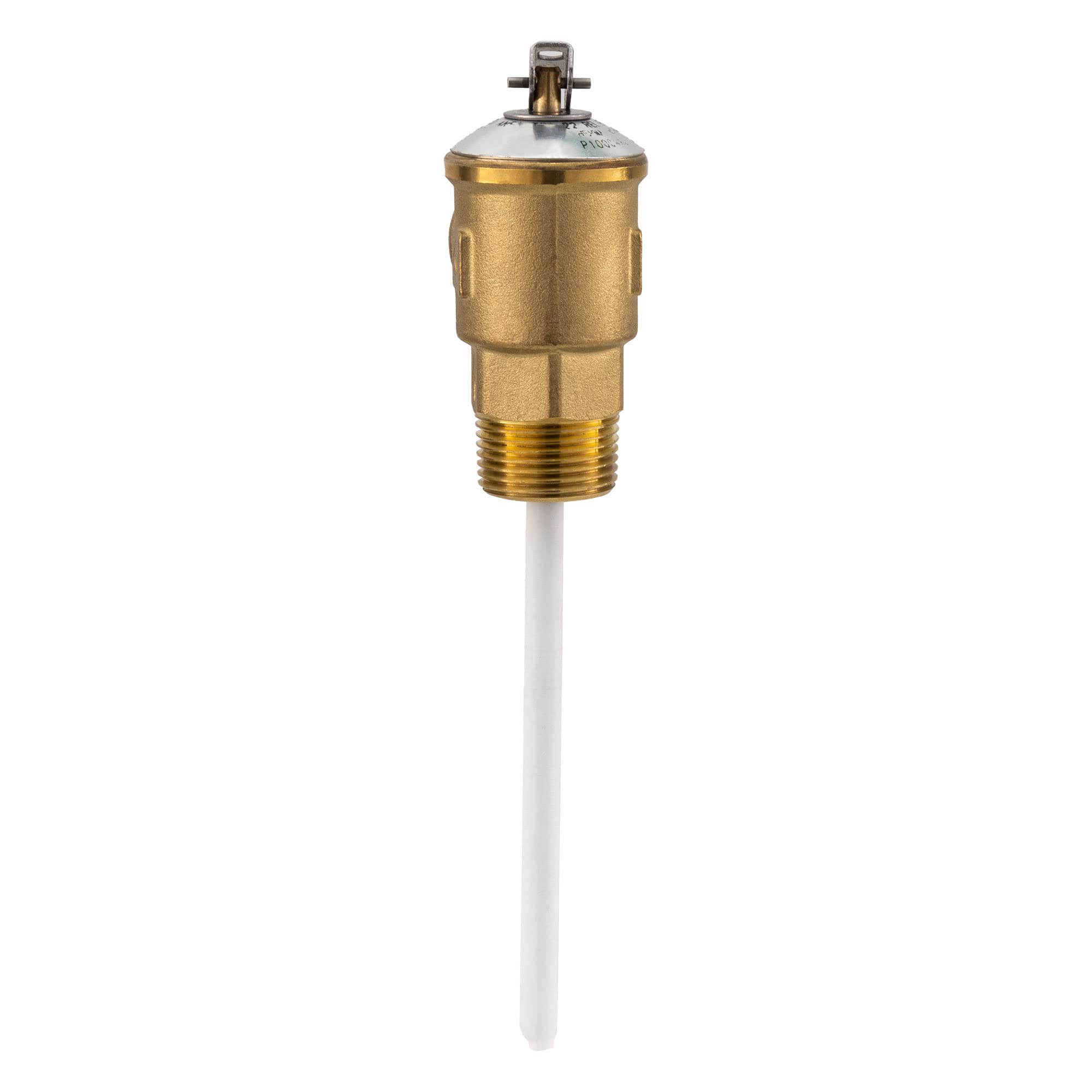 RecPro 3/4" valvola limitatrice di pressione RV con 4" sonda rivestita in resina epossidica