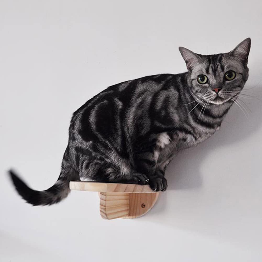 1 Set Cat Wall Shelves,Wood Cat Wall Climbing Steps - Cat Wall Ladder Stairs,Wall Mounted Cat Climbing Step Cat Wall Shelf Cat Climber Solid Wood Cat Climbing Shelf for Indoor Playing Lounging (1 Set) (B0B6DWN52Q) Amazon Price History, Amazon Price Tracker