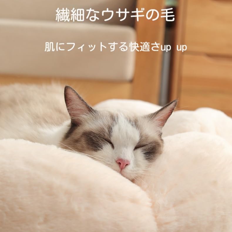 Amazon | 猫 ベッド ペットベッド 犬 ベッド 猫 クッション 花型