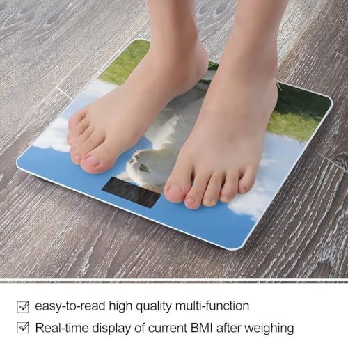 Báscula digital de baño con sensores precisos y pantalla LCD grande miniatura 5