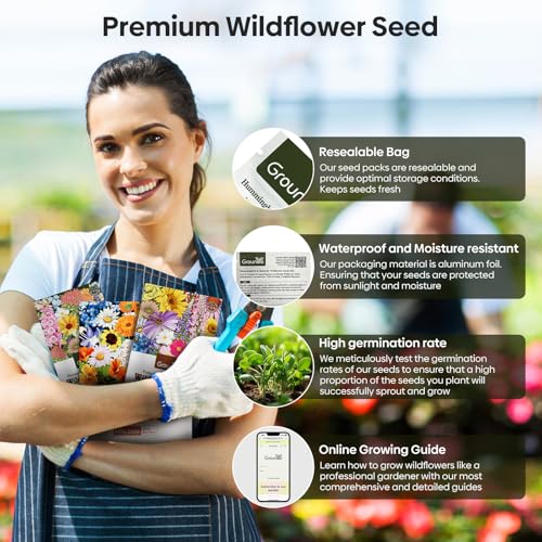 Wildflower Seeds Hummingbird and Butterfly Mix 1 Ounce, No Filler, 24 Varieties Flowers Seeds to Plant Outside, Annual Perennial, Bulk Resealable Package
