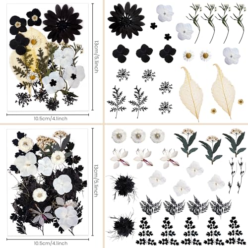 100 flores secas prensadas para manualidades miniatura 4