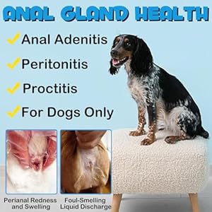 Anal-Gland-Soft-Chew-Treats-Dog-Fiber-Supplement-for-Anal-Glands-with-Pumpkin-Digestive-Enzymes-Gland-Support-Soft-Chews-for-Dogs-Digestive-Gut-Health-Normal-Bowel-Function - Cucciolini Doodles   Anal-Gland-Soft-Chew-Treats-Dog-Fiber-Supplement-for-Anal-Glands-with-Pumpkin-Digestive-Enzymes-Gland-Support-Soft-Chews-for-Dogs-Digestive-Gut-Health-Normal-Bowel-Function