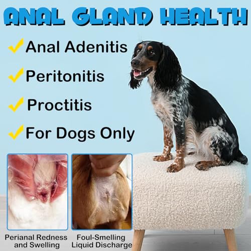 Anal-Gland-Soft-Chew-Treats-Dog-Fiber-Supplement-for-Anal-Glands-with-Pumpkin-Digestive-Enzymes-Gland-Support-Soft-Chews-for-Dogs-Digestive-Gut-Health-Normal-Bowel-Function - Cucciolini Doodles   Anal-Gland-Soft-Chew-Treats-Dog-Fiber-Supplement-for-Anal-Glands-with-Pumpkin-Digestive-Enzymes-Gland-Support-Soft-Chews-for-Dogs-Digestive-Gut-Health-Normal-Bowel-Function