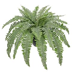 Black Pot - Dusty Green Large