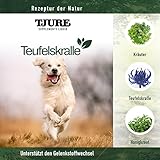 TJURE Teufelskralle Liquid für Hunde | 1000 ml | Ergänzungsfuttermittel mit Teufelskralle | Zur Unterstützung der normalen Beweglichkeit | Pflanzliche Rezeptur | Made in Germany | Ohne Zusatzstoffe