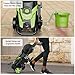 2025New Pressure Power Washer 4500PSI with 4 Quick Connect Nozzles,Inlet Hose & Filter, Foam Cannon for Cars/Fences/Driveways/Patios/Home Cleaning(Green)
