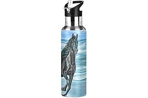 20 oz Xigua Vacuum-Insulated Horse Water Bottle with Straw Lid